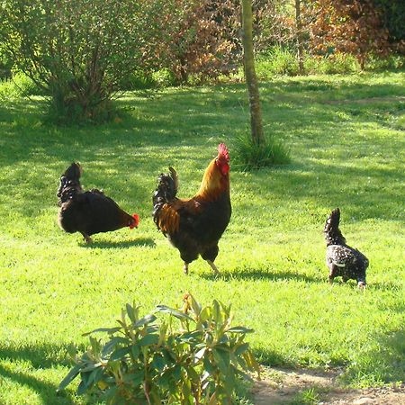 Gite De La Cour Campandré-Valcongrain Dış mekan fotoğraf