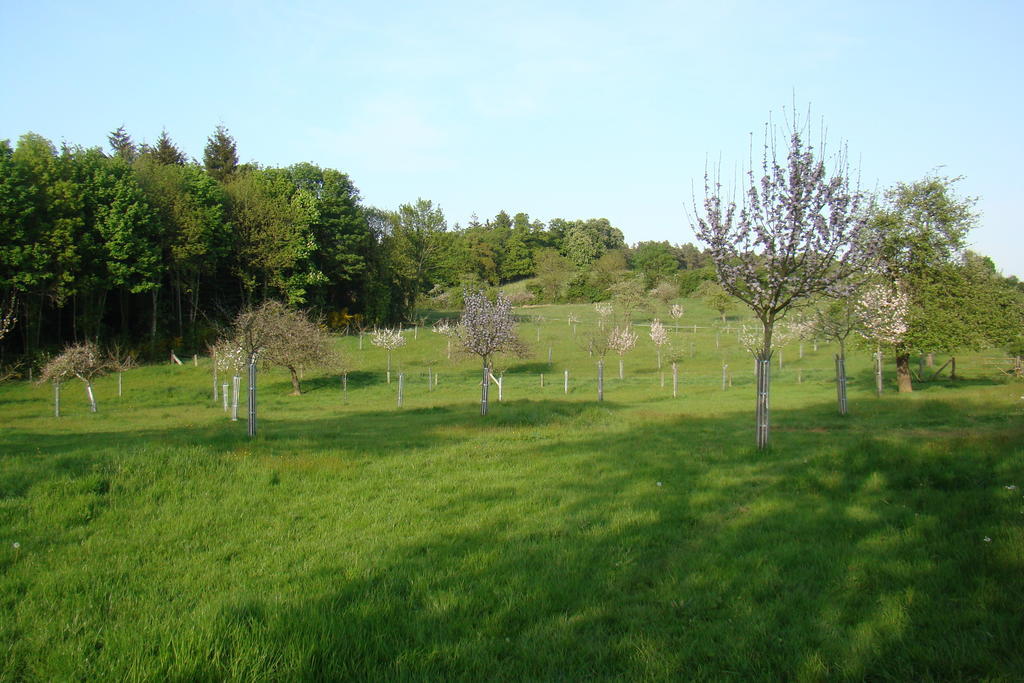 Gite De La Cour Campandré-Valcongrain Oda fotoğraf