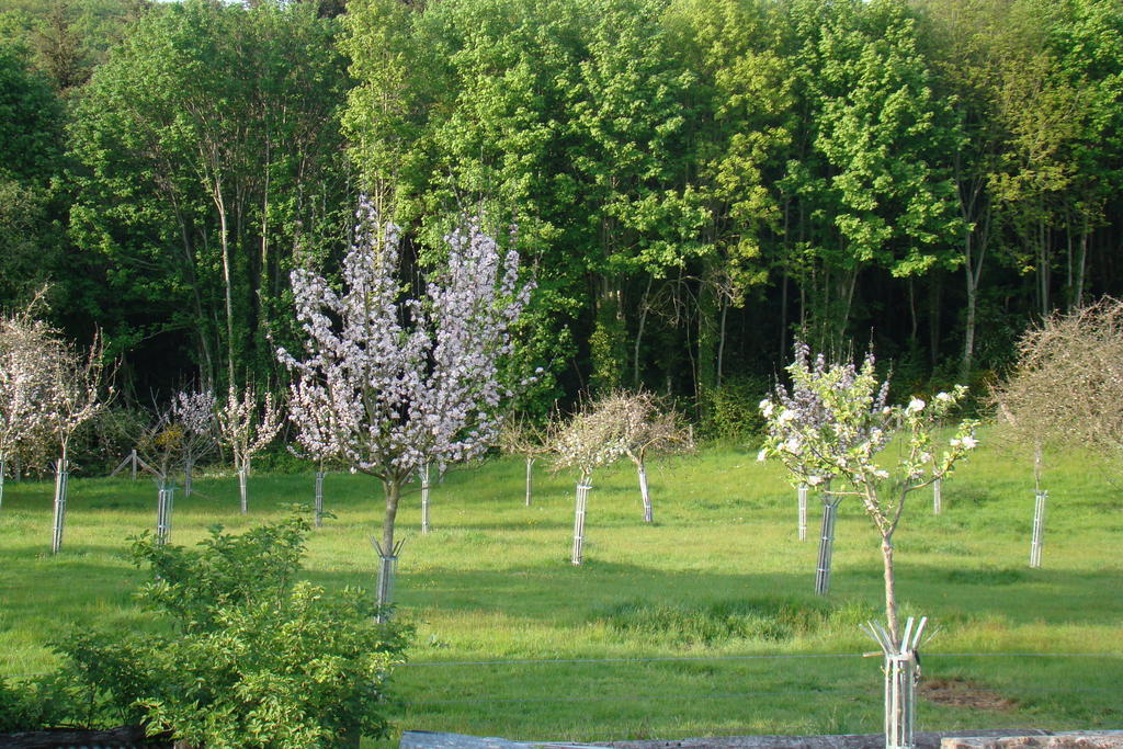 Gite De La Cour Campandré-Valcongrain Oda fotoğraf
